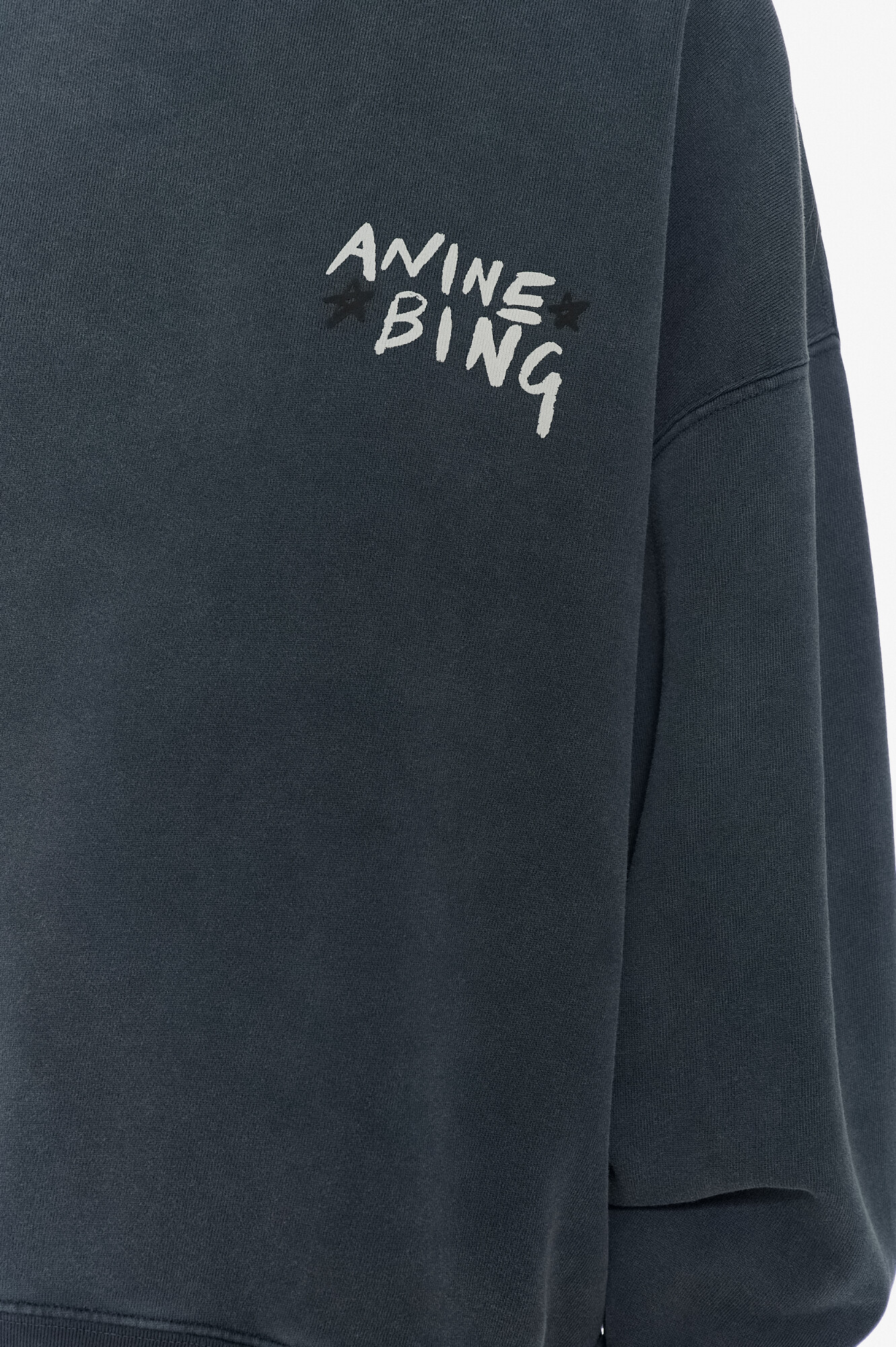 Anine Bing Світшот