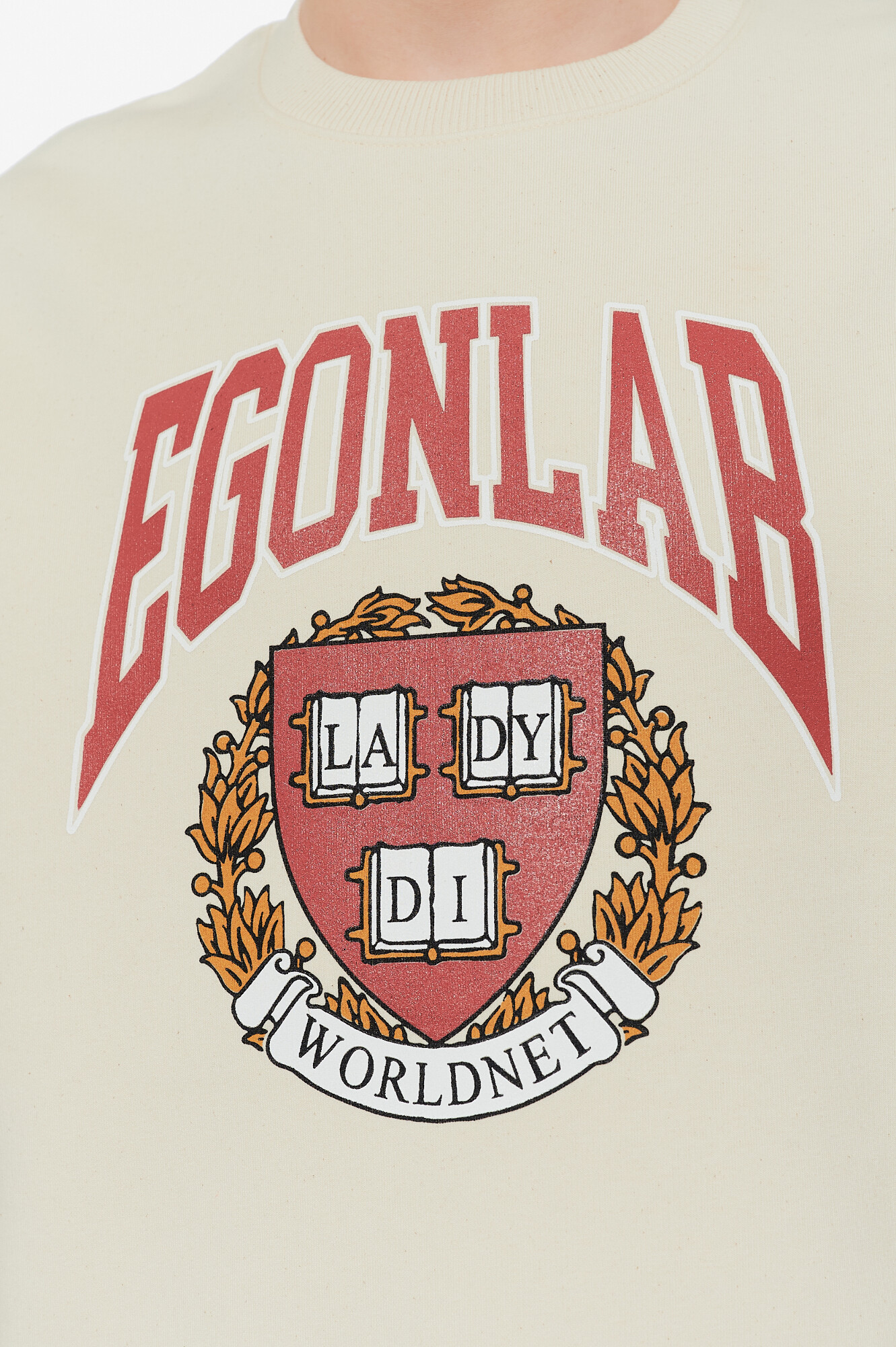 Egonlab Свитшот