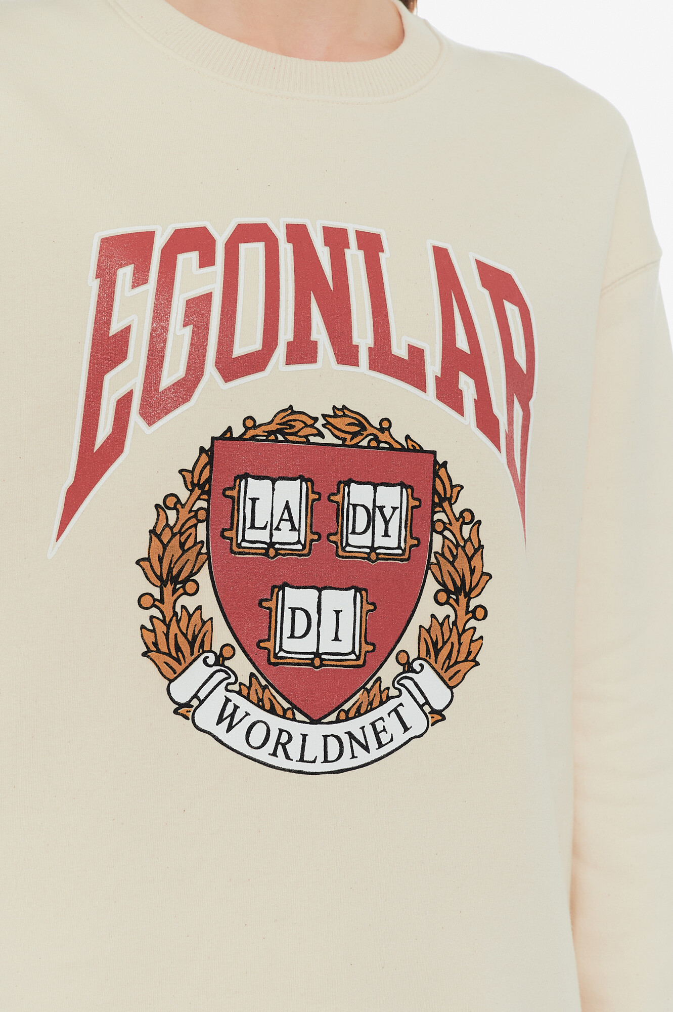 Egonlab Свитшот